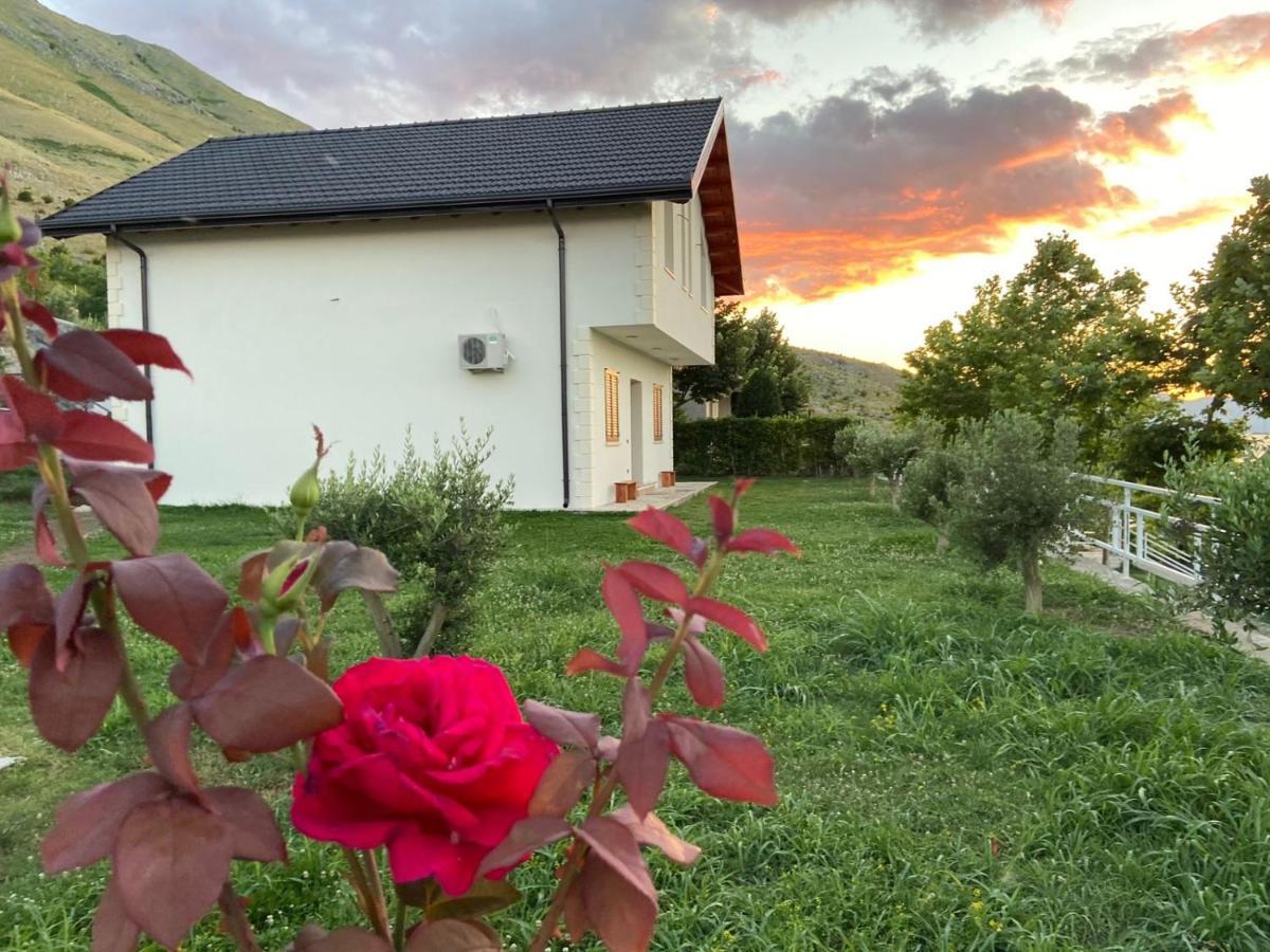 Xhuli Guesthouse Shkodër 外观 照片