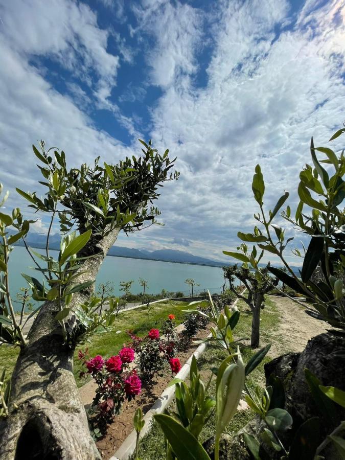 Xhuli Guesthouse Shkodër 外观 照片