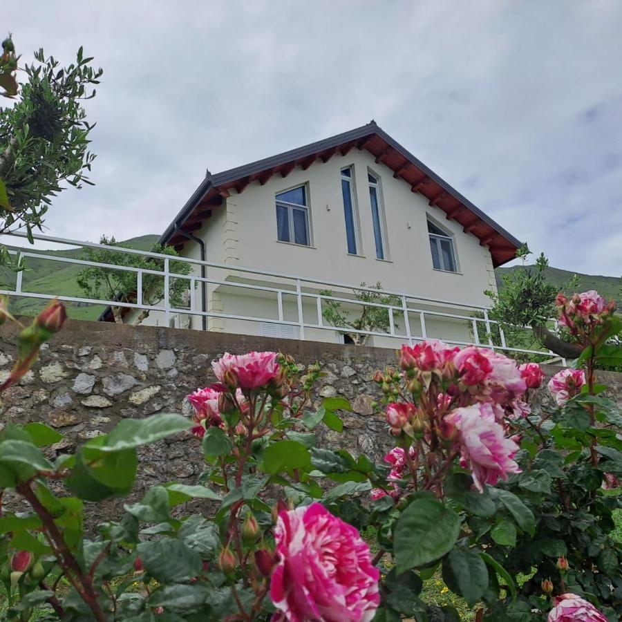 Xhuli Guesthouse Shkodër 外观 照片