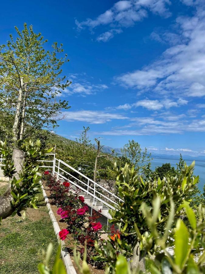 Xhuli Guesthouse Shkodër 外观 照片